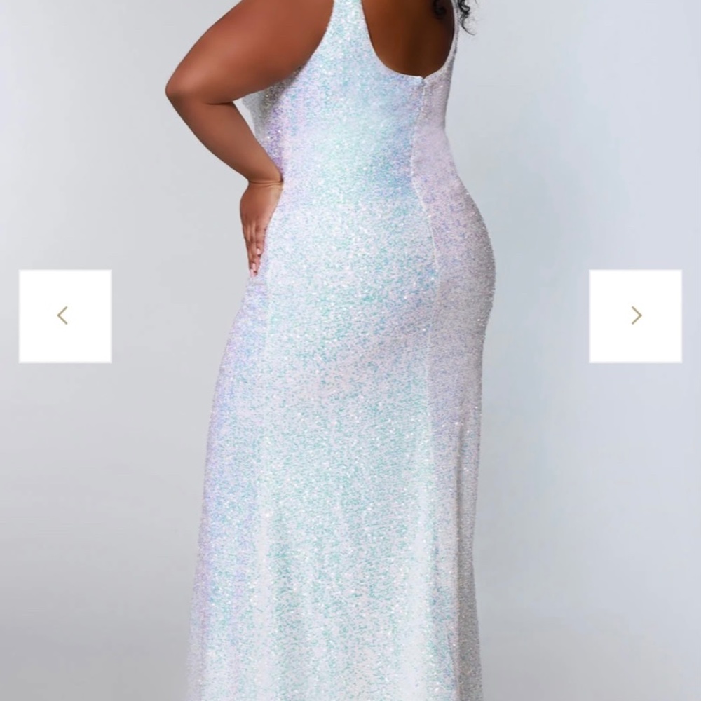 Plus size prom dress